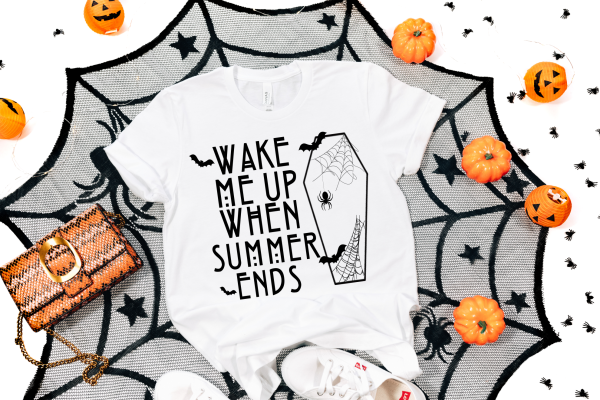 Wake Me Up When Summer Ends Shirt